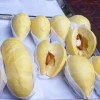 Frozen Durian (Monthong Type) whole piece