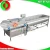 Import fruit and vegetable ozone washer and sterilizer dehydrator from China