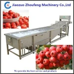 full automatic bubble vegetable washer