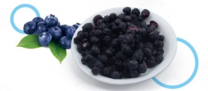 FYFD015F Best quality dried fruit Freeze-dried blueberries