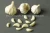 Import Garlic/Indian Garlic/Fresh White Garlic 2021! from India