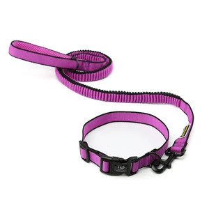 Glow Castle No Pull Shock Absorber Bungee Pet Leash And Collar