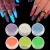 Import glow in the dark powder for nails for painting multi usage powder Photoluminescent Pigment Powder from China