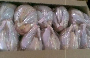 HALAL CERTIFIED FROZEN WHOLE CHICKEN AT BEST COMPETITIVE MARKET PRICES