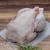 Import Halal Frozen Whole Chicken / Feet / Paws / Leg / Breasts from South Africa