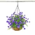 Import Hanging Basket with Artificial Flowers Wall Coconut Palm Basket Artificial Hanging Flower Plant for Outdoor Patio Lawn Garden from China