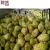 Import Health Beauty and Blood Regulation Immune Promote Natural Fermented Fruit Extract Noni enzymes juice from China