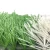 Import Hebei futsal grass synthetic artificial football turf from China