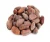 Import High Grade Sun Dried Cocoa Beans For Sale Now from Gabon. from USA