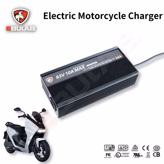 High Quality 12V 16V 18V 19V 24V 36V 38V 42V 48V 60V 72V 96V 360W Battery Charger for Electric Motorcycle