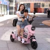 High quality 14 inch fastest old people 48V/60V 20AH tricycle 3 wheel 500W electric mobility scooter