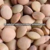 High Quality and Best Selling Organic Lentils