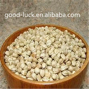 high quality and large amount hemp Seed on sale(2015 crop)