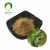 Import High quality Asarum sieboldii/asarum/Herba Asari Extract  for Health product supplement from China
