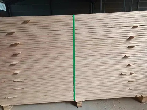 High Quality Bed Frame /Slat for Bed Room Furniture