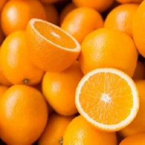 High quality citrus - Fresh Citrus Fruits /Yellow Eureka Lemon for sale
