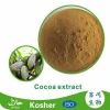 High Quality cocoa powder price/Alkalized Cocoa Powder