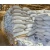 Import High Quality Fish meal 65% - 73% for Animal Feed from Ukraine