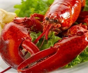 High Quality Frozen Lobster /Lobster/ Fresh Lobster