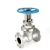 Import High quality handle lever stainless steel gate valve from China