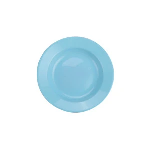 High quality household tableware enamel spray-moulded vegetable plate