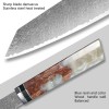 High Quality Luxury Professional Damascus Steel VG10 Core Steel Chef Knife