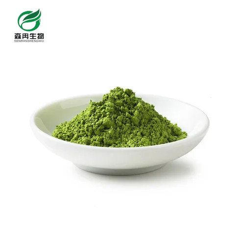 High quality  Nature powder Instant green tea powder green tea extract