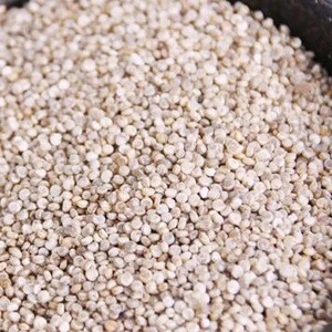 High Quality Organic quinoa from the Tibetan plateau