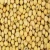 Import High Quality Premium Natural and Non- GMO Yellow Soybean Seeds / Soya Bean /Soy Beans (human and animal feed) from Belgium