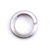 High Quality Stainless Steel 304 316 Lock  Spring Washer Flat Washer Customized Washer
