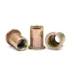 High Quality Stainless Steel Color Zinc Plated  Bolt Rivet Nut