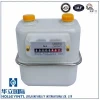 HLGM-G(S) Steel Case/Aluminum Case Diaphragm Gas Meter