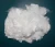 Hollow Conjugated Siliconized Fiber/Virgin/Recycled/Polyester Fiber Micro Fiber