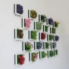 Home Decorative hanging flower frame 3D Artificial Plant Simulation Flower decoration Frame garden Wall Decor