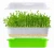 Import Home Kitchen DIY Bean Sprouts Culture Plastic Tray 3 Colors Hydroponics Seed Tray from China