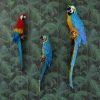 Hot fashion colorful resin parrot figurine 3d wall stickers home decor for sale