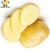 [HOT ] Linyi Changhong Fresh Potatoes/ Potato
