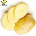 [HOT ] Linyi Changhong Fresh Potatoes/ Potato
