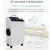 Import hot sale 20G ozone generator air sanitizer industrial commercial ozone disinfection from China