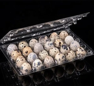 Hot Sale Clear PET Plastic Quail Egg Tray For Packing Eggs