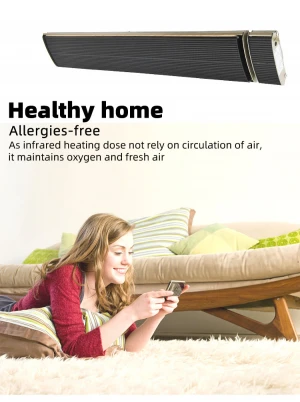 Hot Sale Home appliance with remote control Heaters Electric Wall Mounted Panel Electric Room Heaters