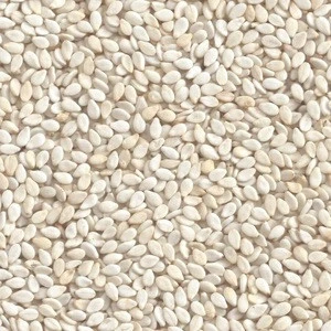 Hot Sale Indian Best Quality  New Crop Washed Sesame Seeds White Wholesale Price For 2020 Sale Rate From India