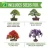 Import Hot sale indoor garden gardening gift bonsai tree seed starter kit from China