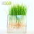 Hot Sale Magic Polymer Mix Water Absorbent Balls Beads Jelly crystal Soil For Aquatic Plants Garden Decoration