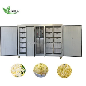 Hot sale Vegetable growing machine automatic bean sprout machine mung soy bean
