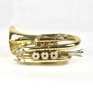 Hot Sell Tone Bb Pocket Trumpet (FPT-100L)