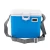 Import Hot Selling 4.5L Camping Picnic Electric Portable Mini Plastic Ice Warmer Cooler Boxes from China