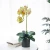 Import Hot Selling Pinrui New Home Decoration Plastic Potted home furnishings artificial orchid bonsai from China