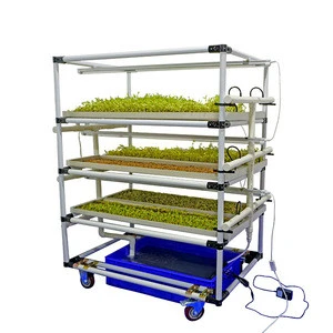 Hot Selling Seeds seedling germination Nursery seed plastic hydroponic fodder tray for sale