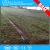 Import Irrigation flexible plastic pvc tube 3mm / Plastic Agriculture Farm Water-Saving Drip Irrigation Hose from China